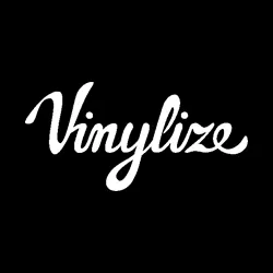 Logo van Vinylize